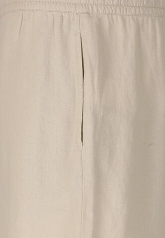 NOU Regular Shorts 'Dalan' in Beige