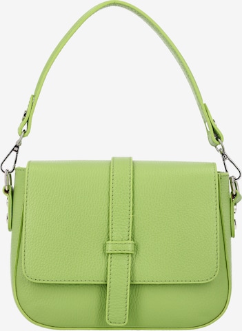 zaļš faina Pleca soma: no priekšpuses