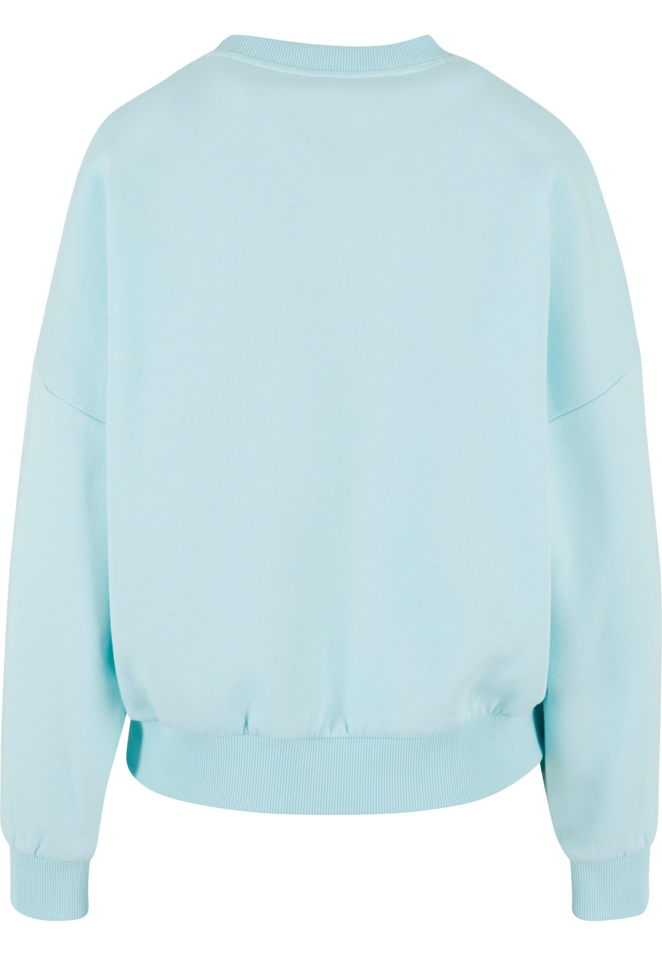 Karl Kani Tréning póló 'Star' - kék