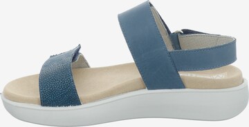 Westland Sandals 'BORNEO' in Blue