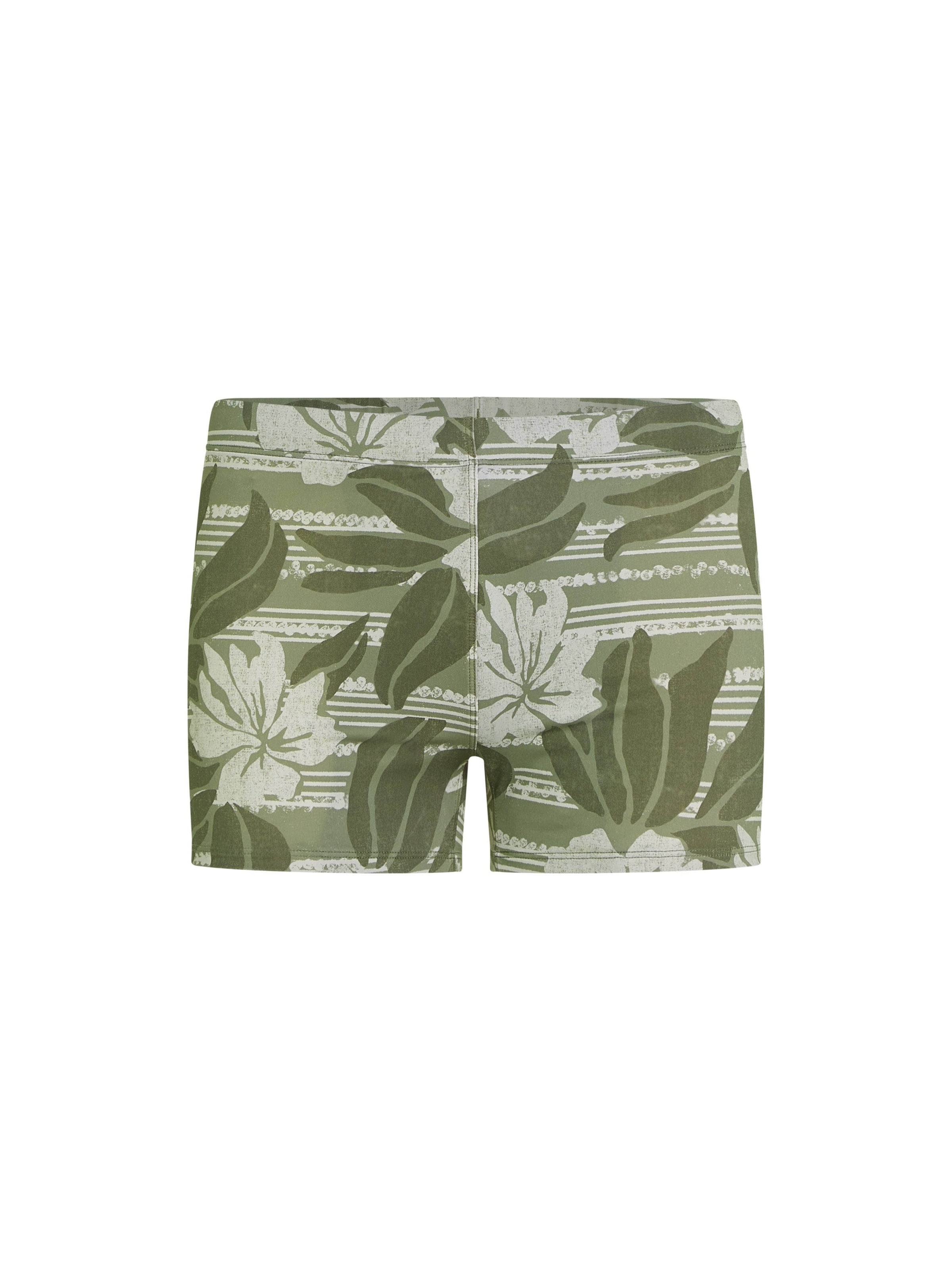 žalia O'NEILL Maudymosi kelnaitės 'Essentials Racer': priekis