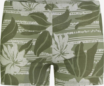 O'NEILLKupaće gaće 'Essentials Racer' - zelena boja: prednji dio