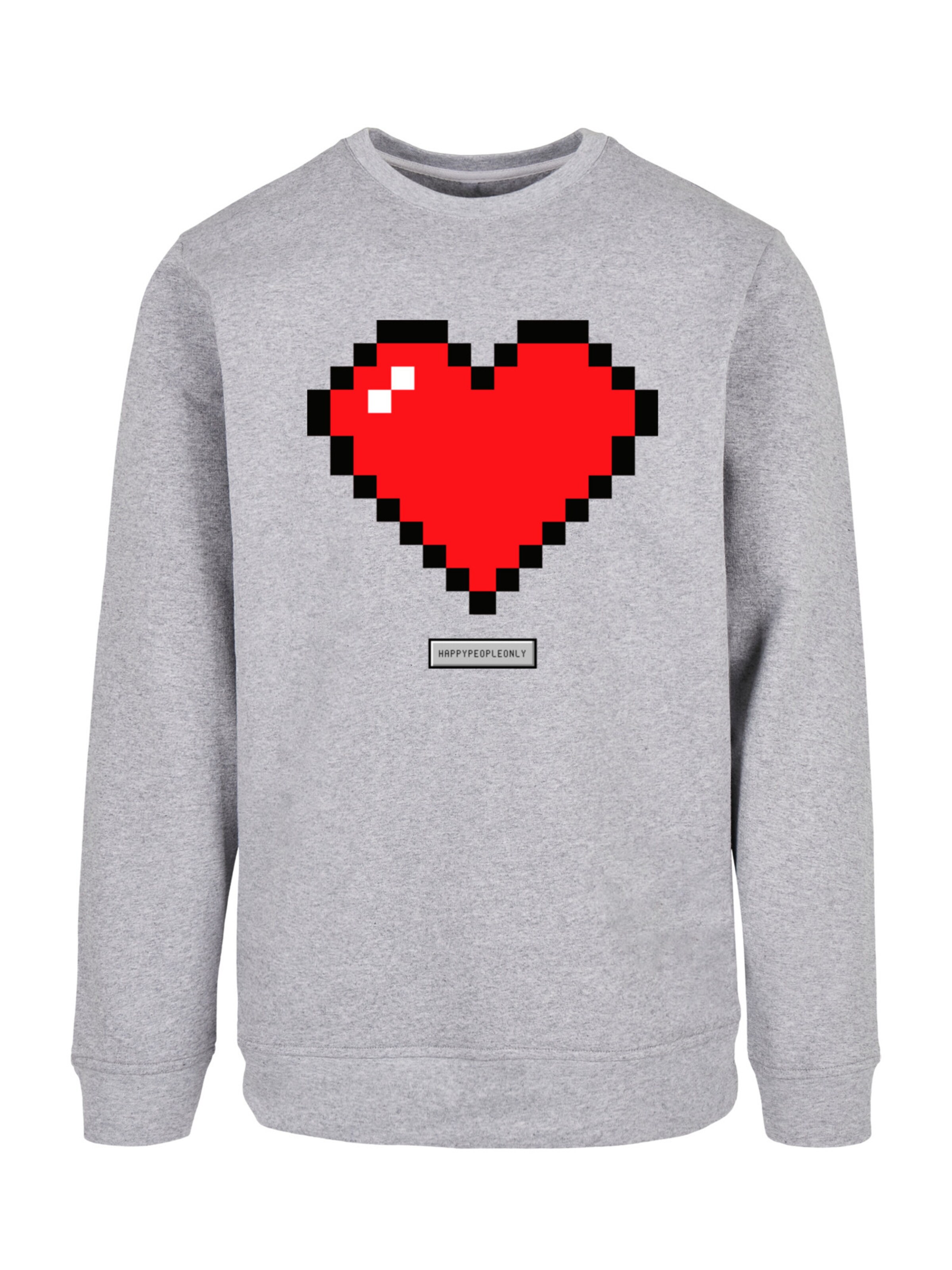 F4NT4STIC Sweatshirt in Grau: Vorderseite