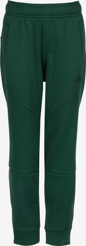 ADIDAS PERFORMANCE Tapered Workout Pants in Green: front