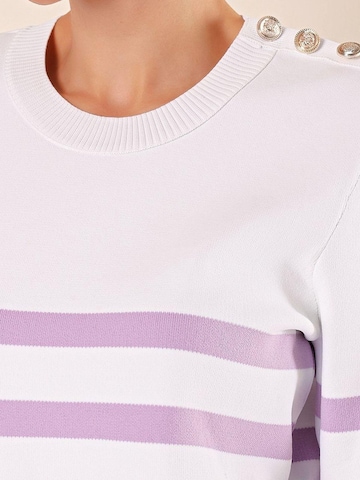 Bigdart Trui in Lila