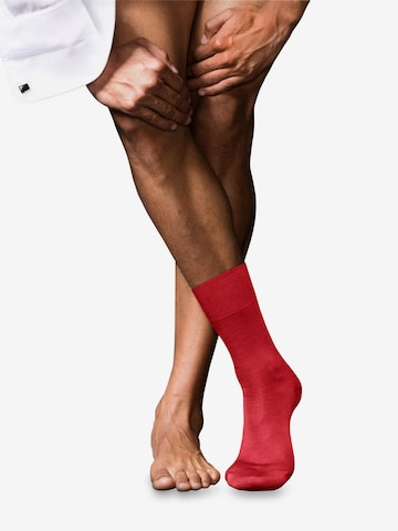 FALKE Socken 'No. 6 Finest Merino & Silk' in Rot