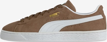 PUMA Superge | rjava barva: sprednja stran