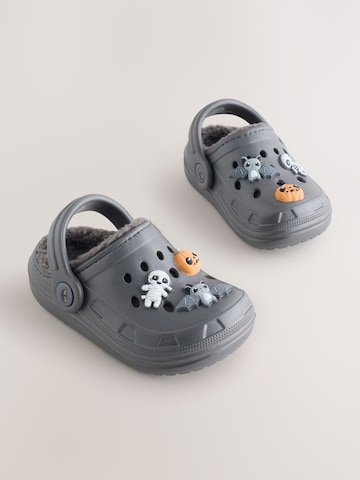 Pantofi de la Next pe gri