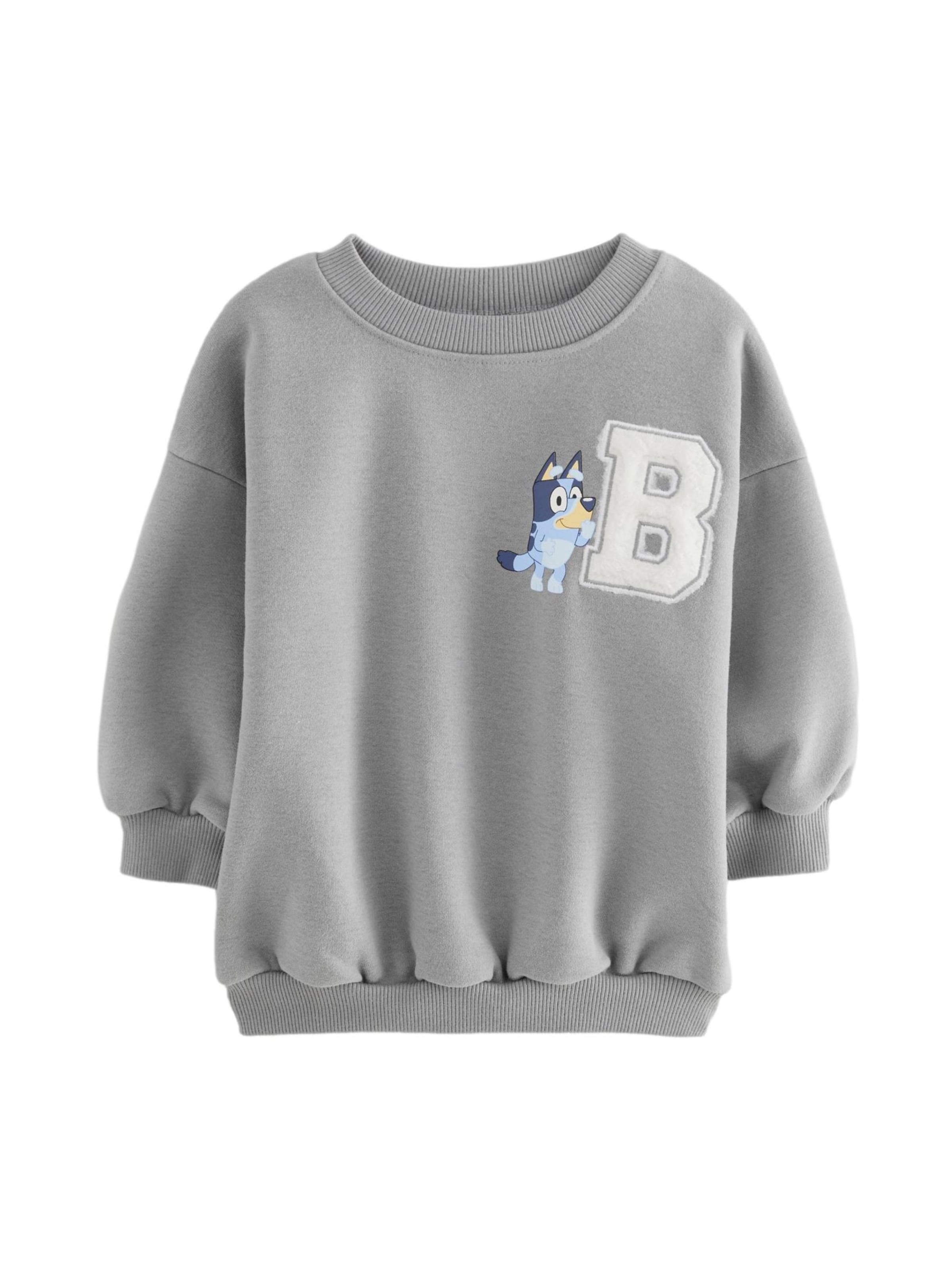 Next Sweatshirt 'Bluey' in Grau: Vorderseite