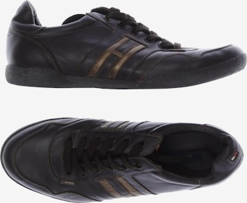 TOMMY HILFIGER Sneaker 43 in Braun: Vorderseite