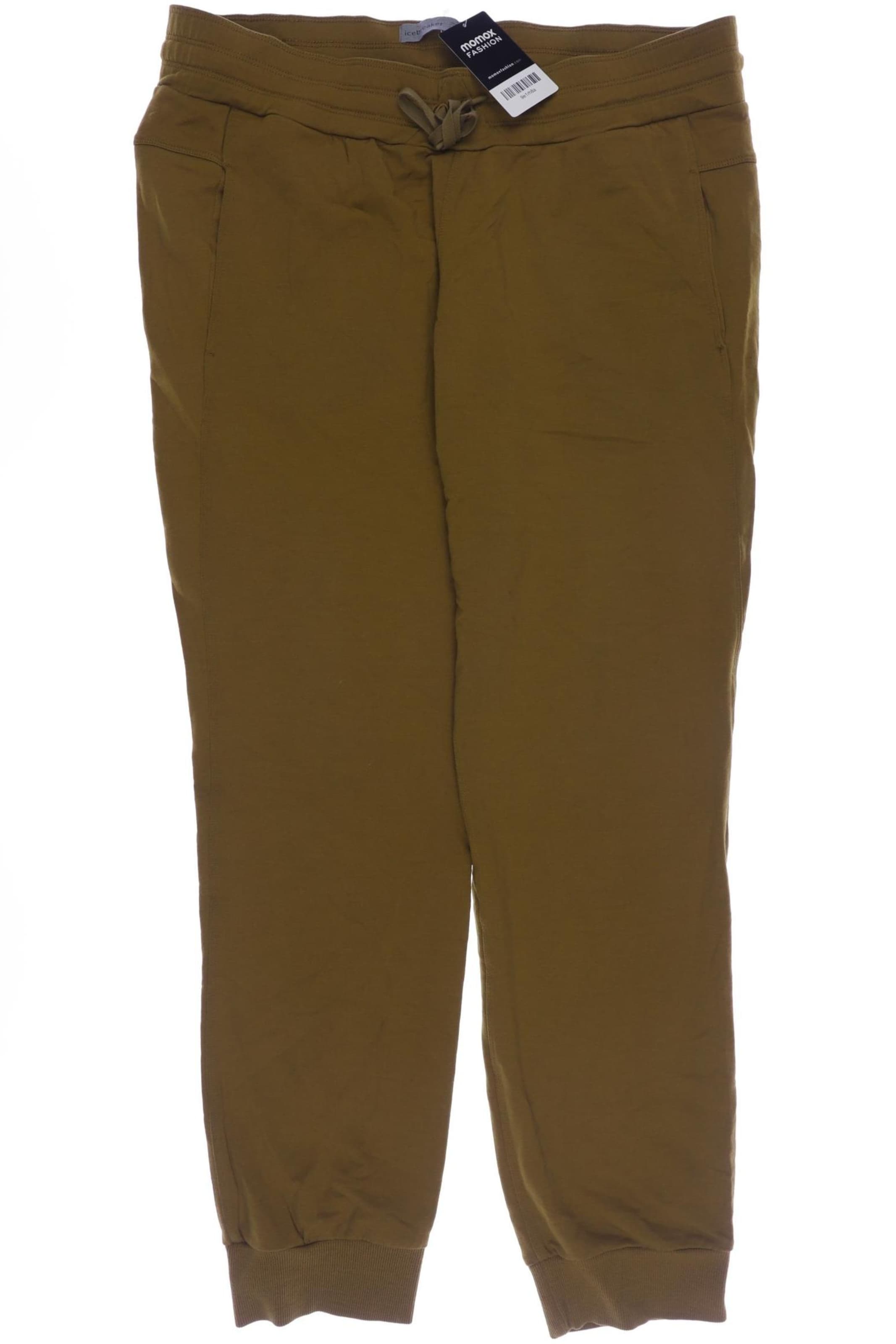 ICEBREAKER Pants in XL in Brown: front