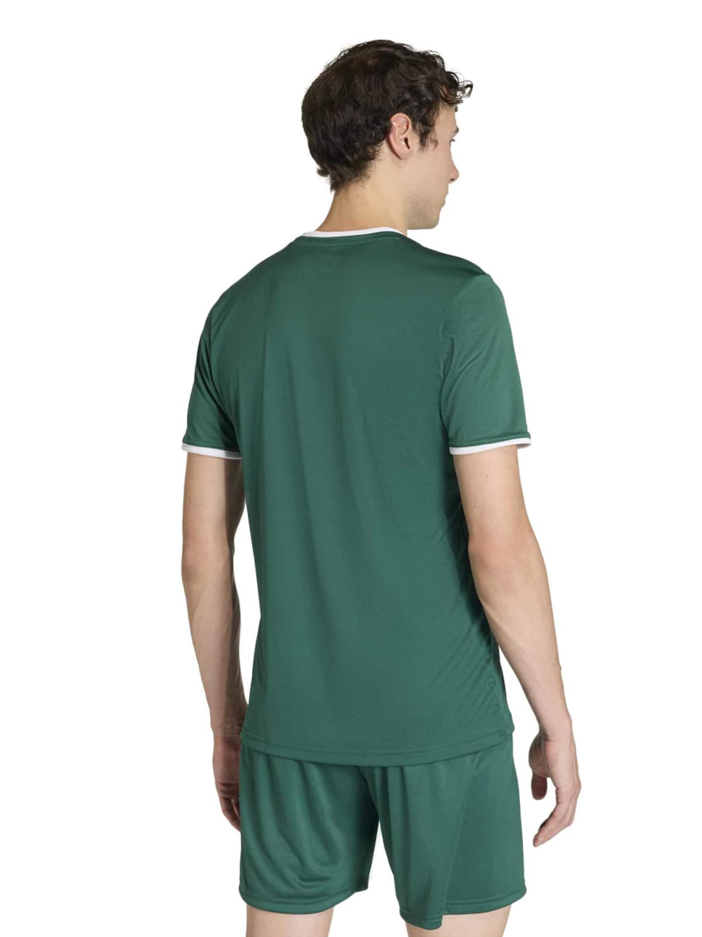 ADIDAS PERFORMANCE Funkcionalna majica 'ENT26' | zelena barva