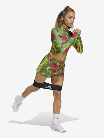 ADIDAS PERFORMANCEregular Sportske hlače 'FARM' - zelena boja: prednji dio