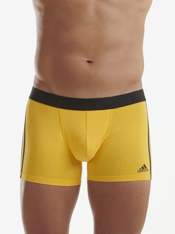 ADIDAS SPORTSWEAR Boxer shorts ' Active Flex Cotton ' in Mixed colors