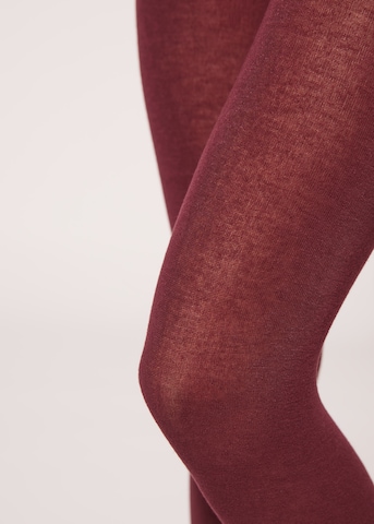 CALZEDONIA Strumpfhose 'thermo' in Rot