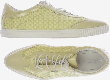 GEOX Sneakers & Trainers in 38 in Yellow: front