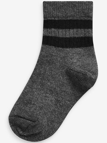 Next Socks in Grey