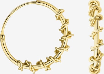 Sofia Milani Ohrringe 'Wrapped' in Gold: Vorderseite