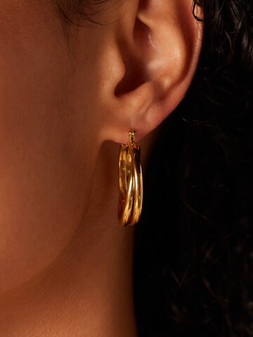 Boucles d'oreilles Lucardi en or : devant