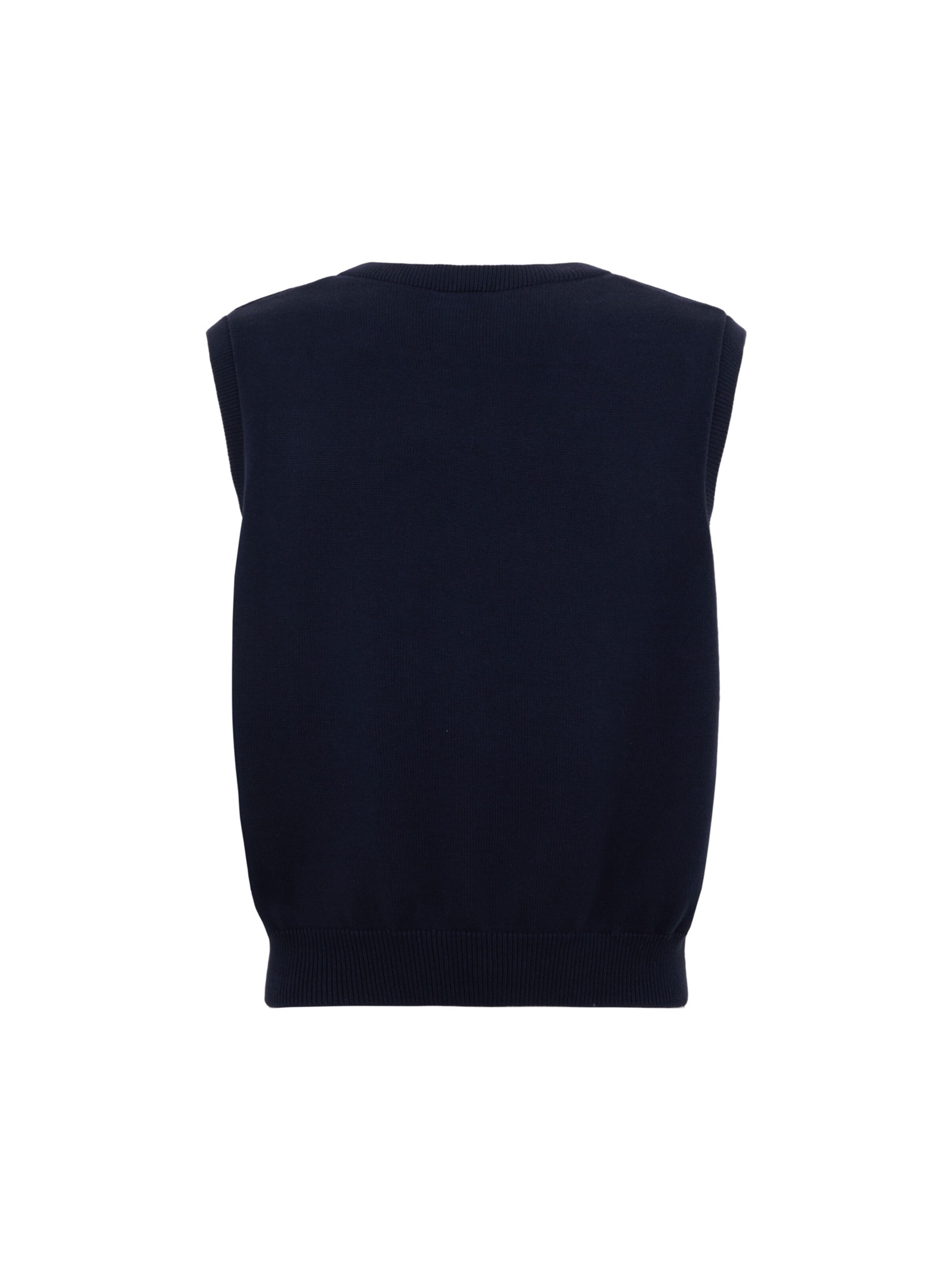 DICKIES Kamizelka 'Summerdale' w kolorze niebieski