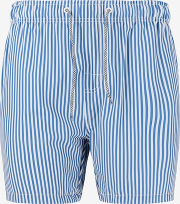 Cruz Badeshorts 'Kenny' in Blau: Vorderseite