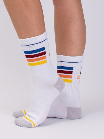 J.Clay Socks 'All Good' in White: front