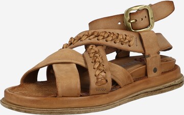 A.S.98 Sandal 'Pola21' in Brown: front