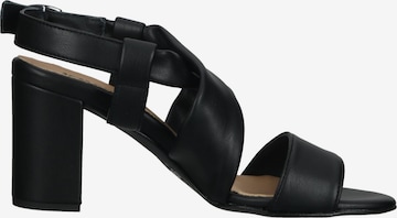 IGI&CO Sandals in Black