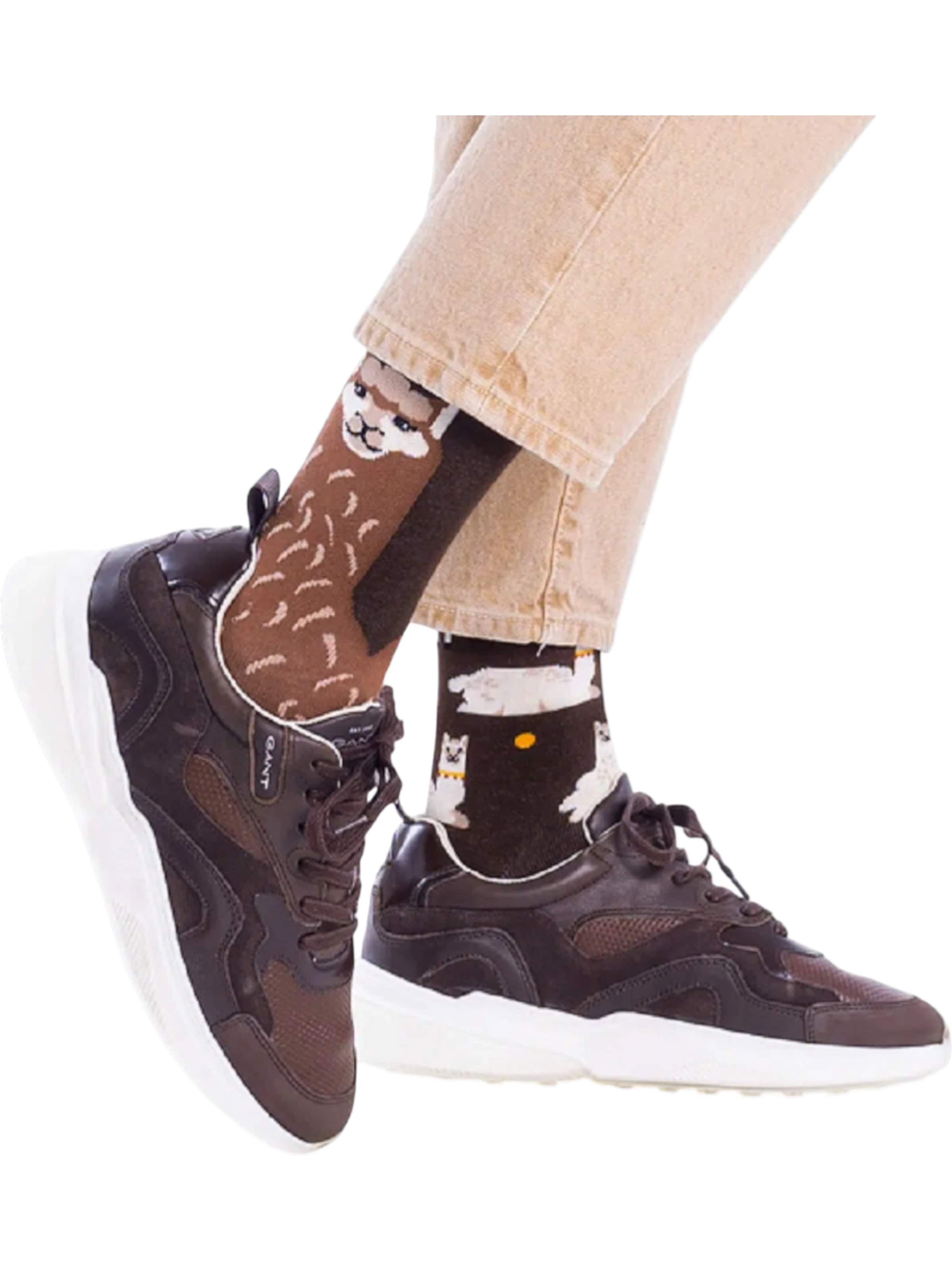 Many Mornings Socks in Brown