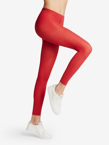 FALKE Fijne panty 'Pure Matt' in Rood: voorkant