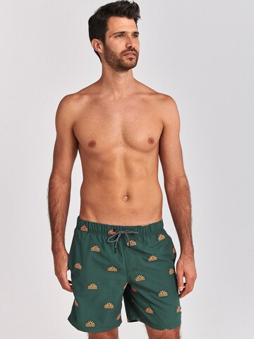 Shorts de bain Shiwi en vert : devant