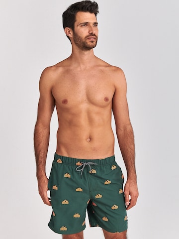 Shorts de bain Shiwi en vert : devant