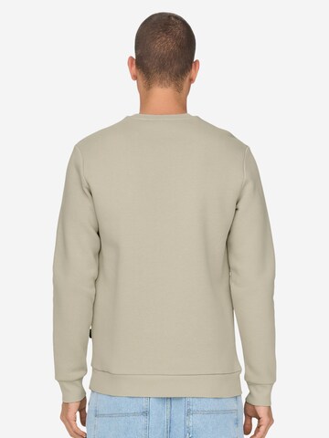 Only & Sons Regular Fit Sweatshirt 'Ceres'‌‌‌‌‌ in Beige