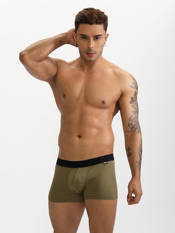 BIMONI Boxer shorts in Green: front