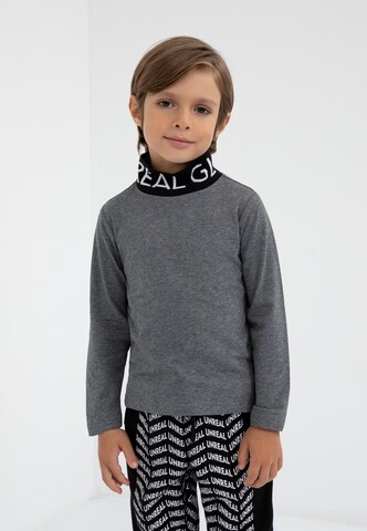 Gulliver Sweater in Grey: front