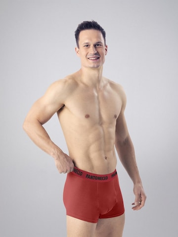 Boxer 'Pantoneclo Men’s Boxer Underwear-10 Pcs Pack' di PANTONECLO in colori misti