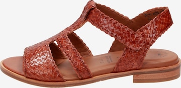 SIOUX Sandals ' Cosinda-702 ' in Brown
