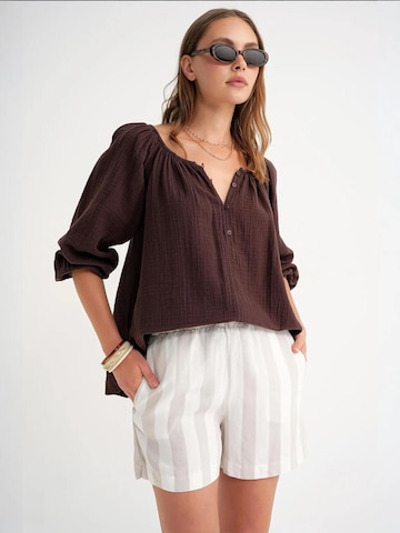 MixRay Blouse in Brown