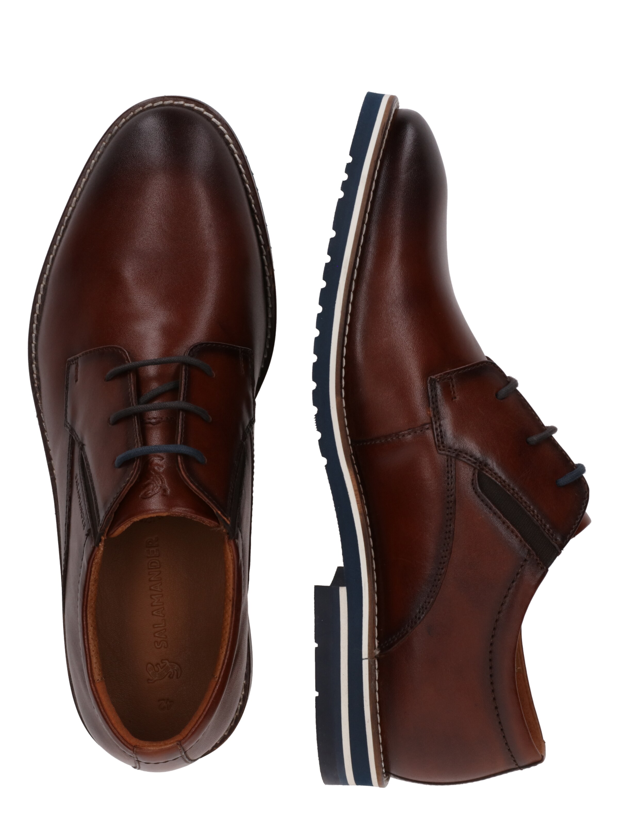 brūns SALAMANDER Kurpes ar šņorēm