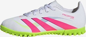 ADIDAS PERFORMANCE - Calzado deportivo 'Predator Club' en blanco: frente