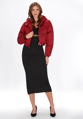 Geacă de iarnă de la faina pe roșu