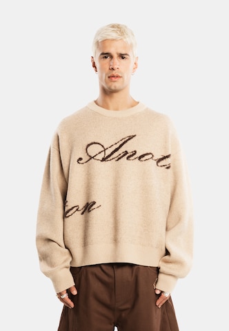 Pullover di Another Cotton Lab in marrone: frontale