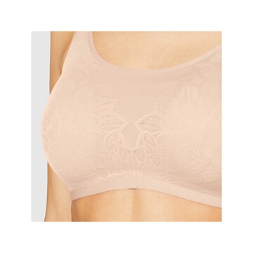 TRIUMPH Bustier BH in Braun