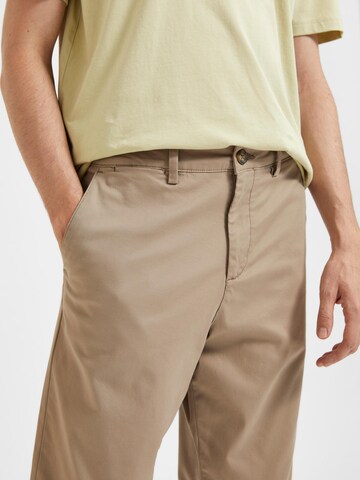 SELECTED HOMME - Regular Calças chino em bege