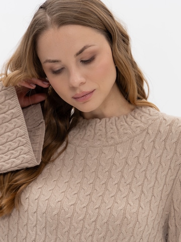 Passioni Pullover‌‌‌‌‌‌‌ in Grau