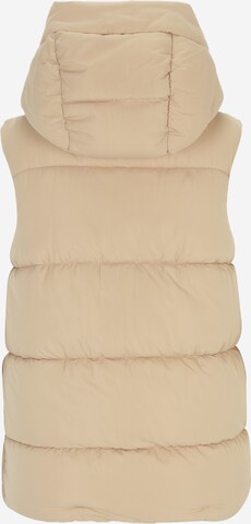 Gilet de sport 'Eilish' CRAGHOPPERS en beige