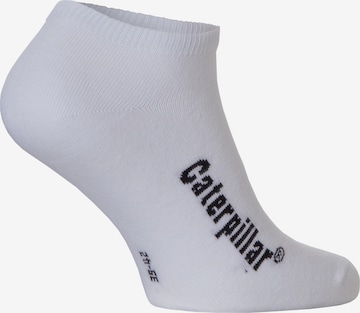 CATERPILLAR Socks in White: front
