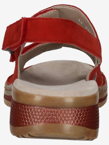 ARA Sandals in Red