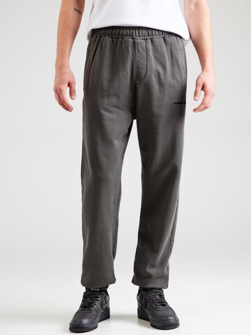 Pegador Конический (Tapered) Штаны в Серый: спереди