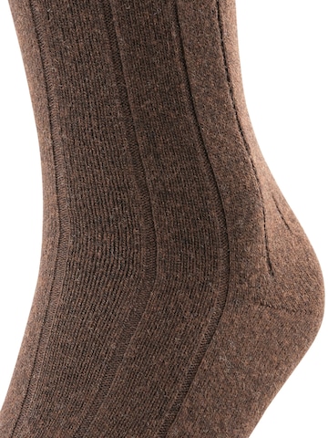 FALKE Knee High Socks 'Lhasa Rib' in Brown
